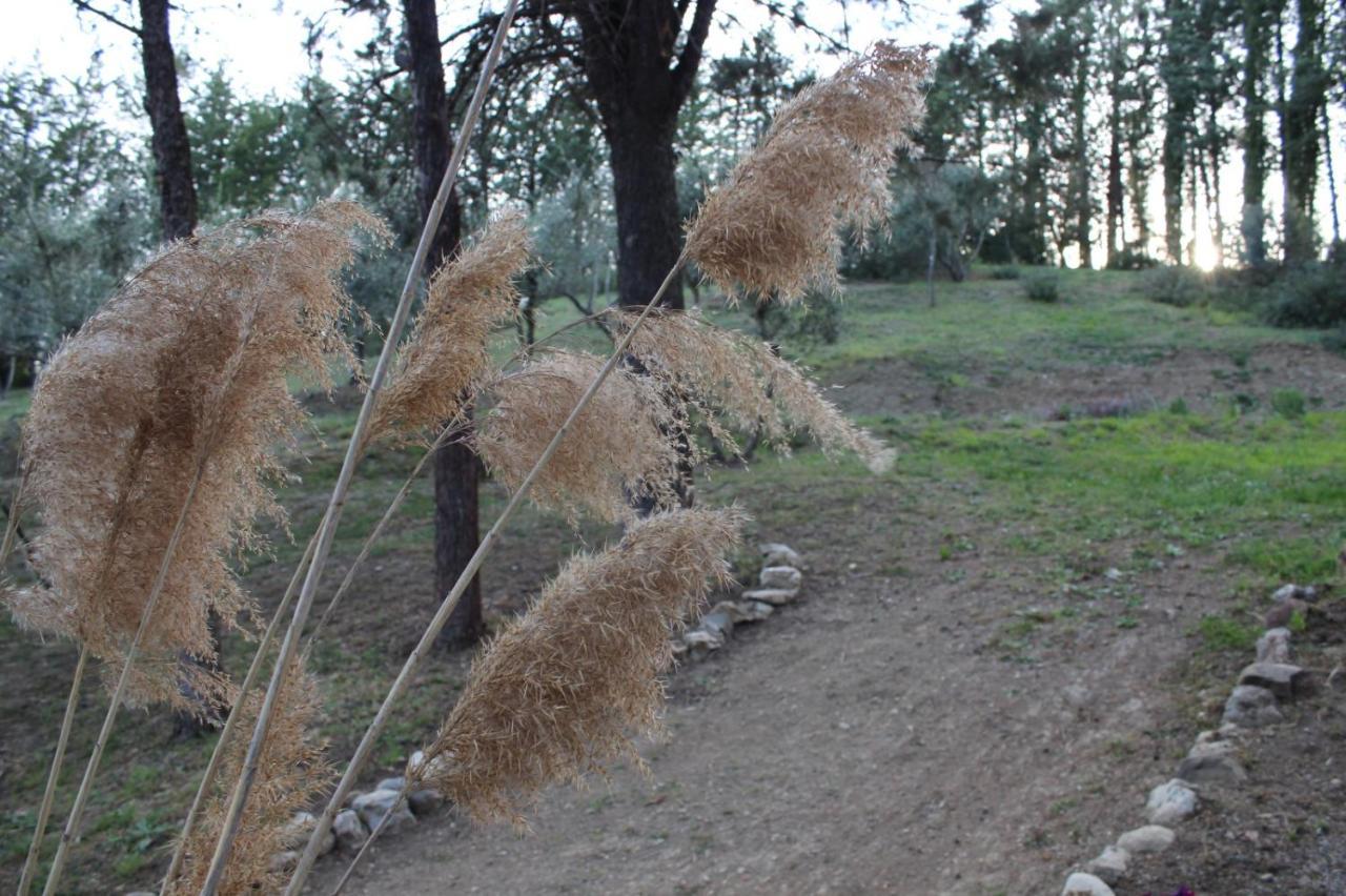 דירות מונטלצ'ינו Depandance Sophia מראה חיצוני תמונה